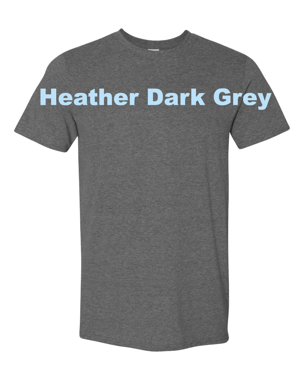 Official TTWT Logo t-shirt