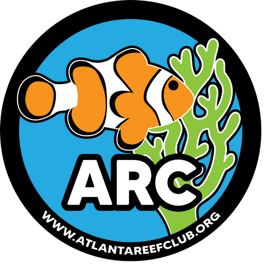 Atlanta Reef Club T-Shirt